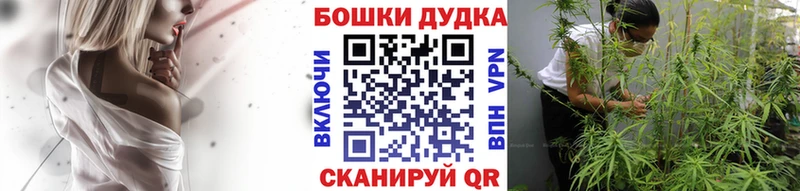 Где купить Новая Ладога СК  Амфетамин  ОМГ ОМГ рабочий сайт  Конопля  КОКАИН  Меф мяу мяу 