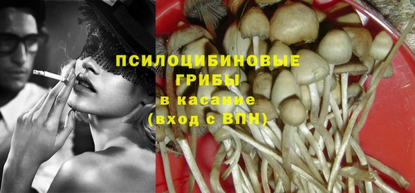 прущие грибы Горнозаводск