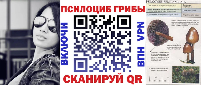 Псилоцибиновые грибы прущие грибы  Новая Ладога 