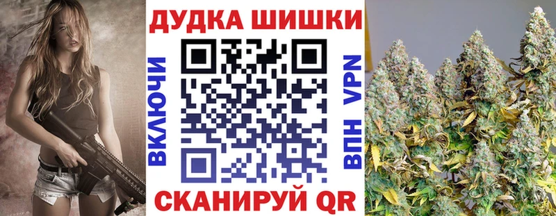 Шишки марихуана план  Новая Ладога 